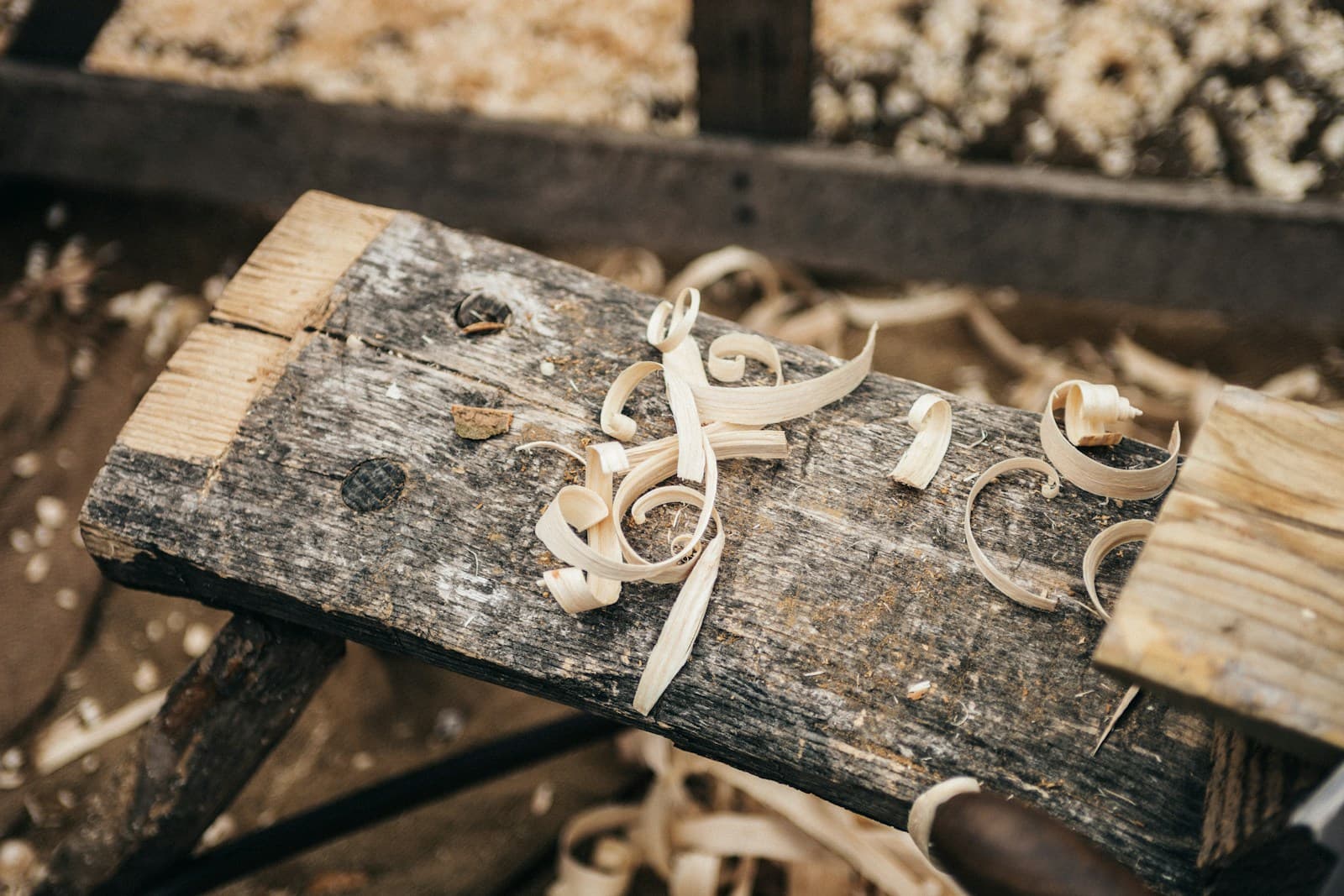 Delicate wood shavings curled on a workbench surface